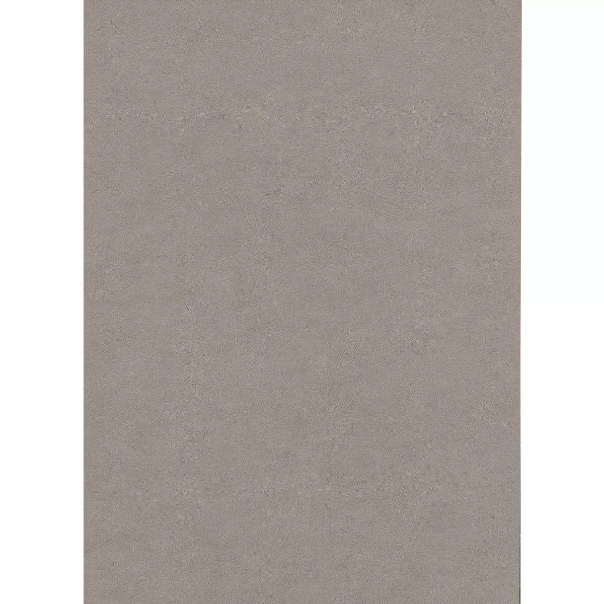 Kolossal Gris Claro 60x120 cm 