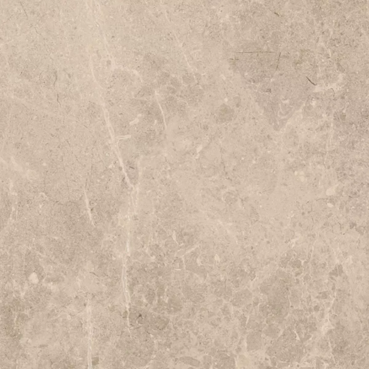 Losas Para Terrazas Azulejos De Gres Arizona Beige 60x60x2 cm Losas Para Terrazas Azulejos De Gres Arizona Beige 60x60x2 cm