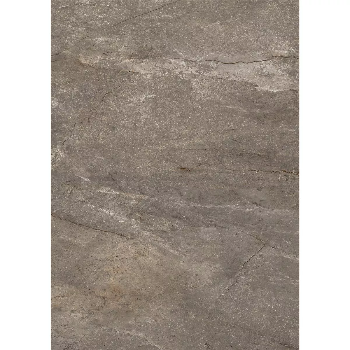 Pavimentos Pangea Aspecto De Mármol Mate Mokka 60x120cm