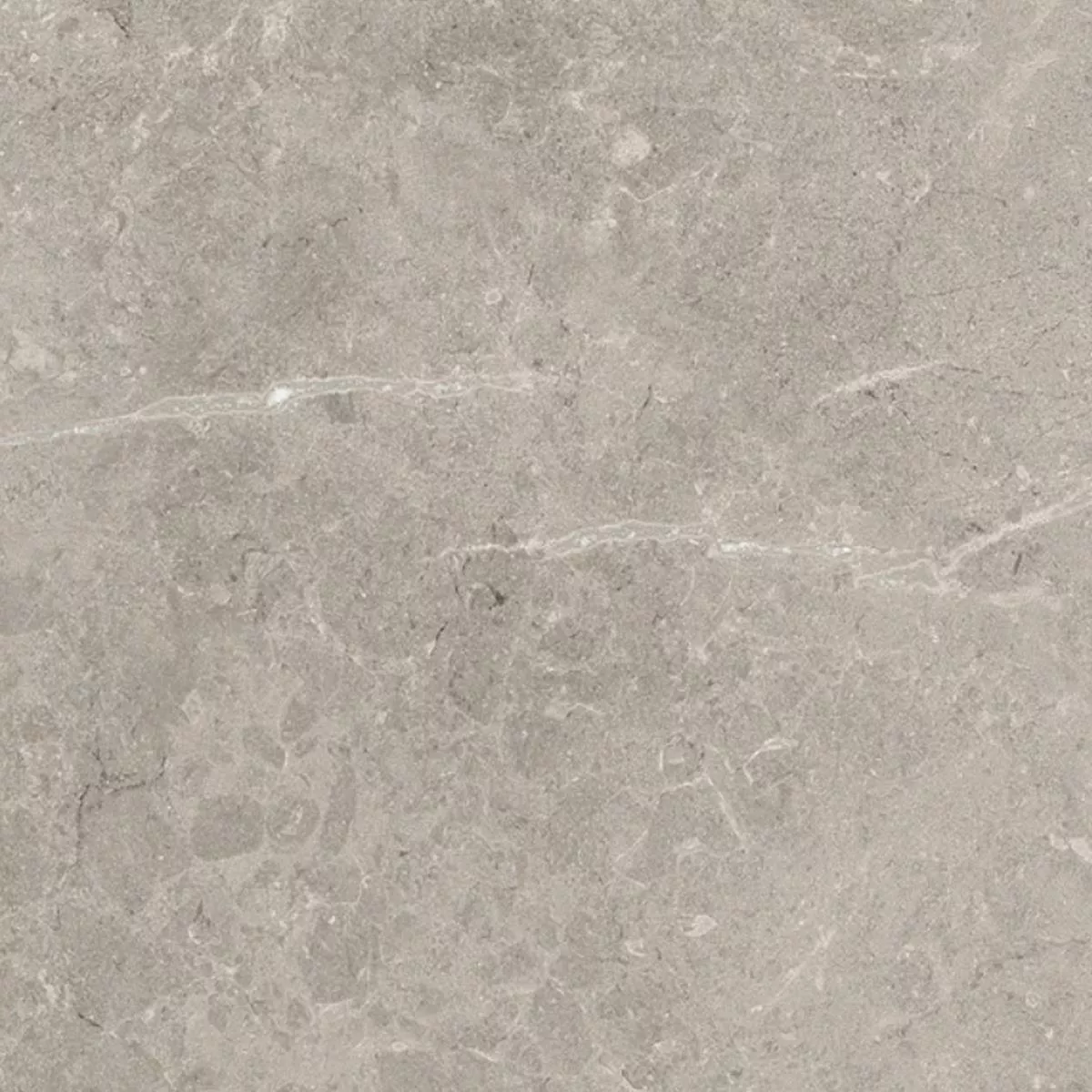 Muestra Losas Para Terrazas Azulejos De Gres Arizona Gris 60x60x2 cm