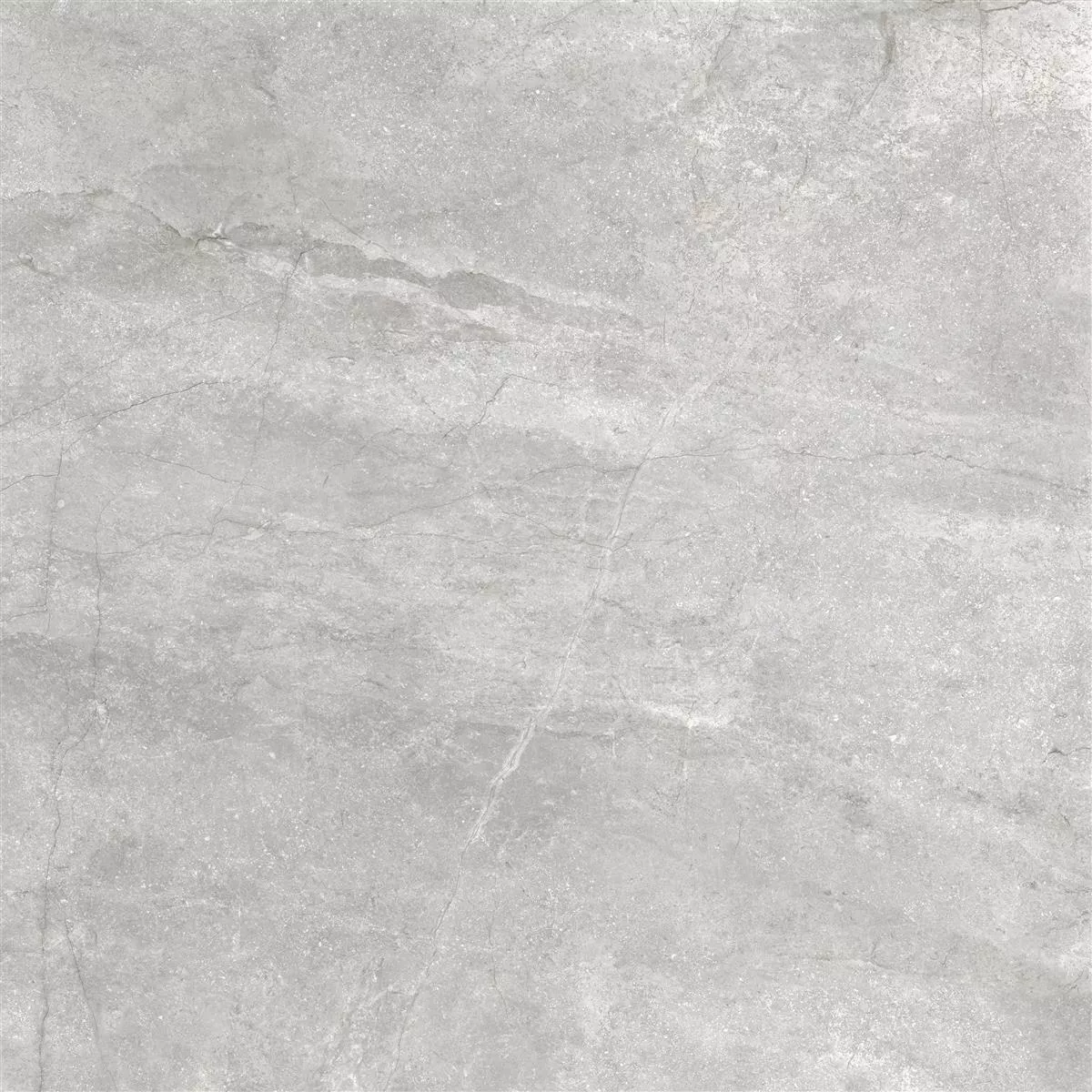 Pavimentos Pangea Aspecto De Mármol Mate Plateado 60x60cm
