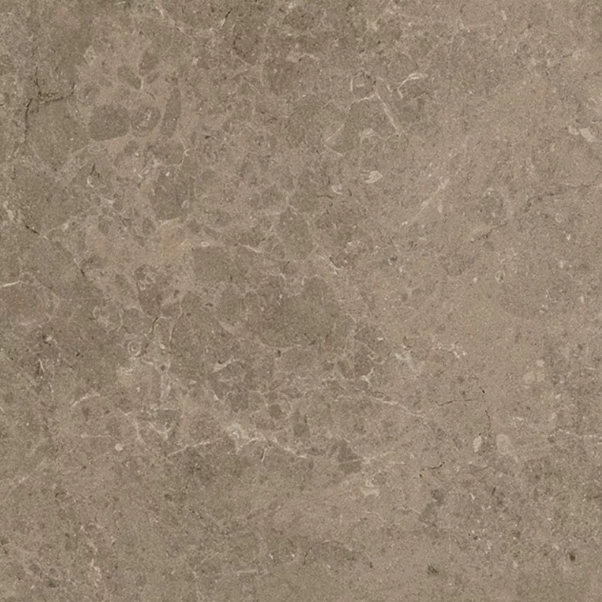 Losas Para Terrazas Azulejos De Gres Arizona Gris Pardo 60x60x2 cm Losas Para Terrazas Azulejos De Gres Arizona Gris Pardo 60x60x2 cm