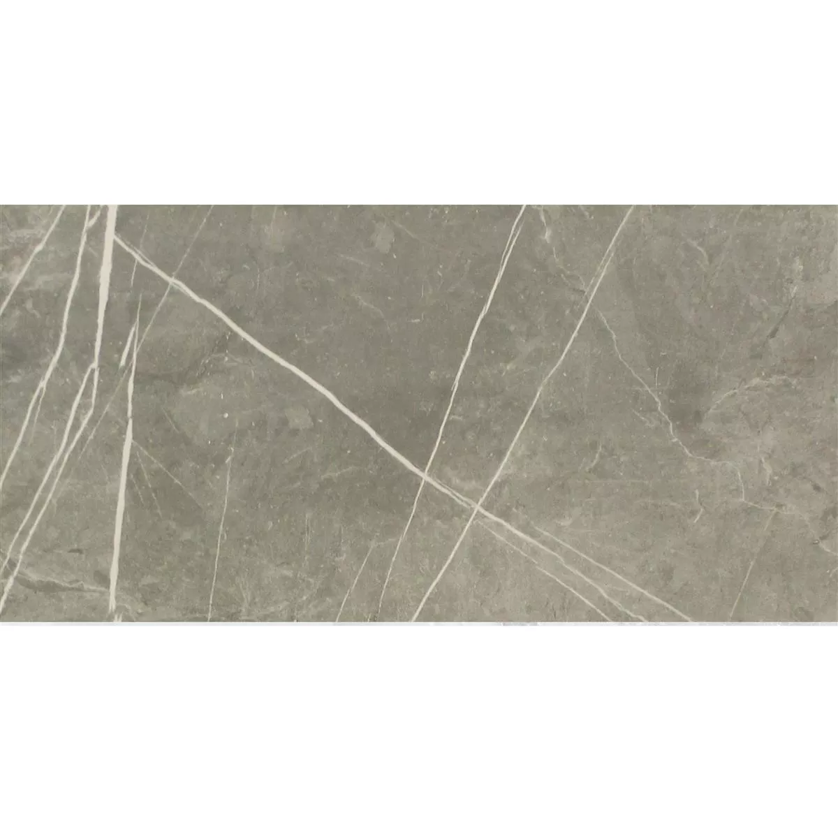 Pavimentos Astara Aspecto De Piedra Natural Pulido Grey 30x60cm