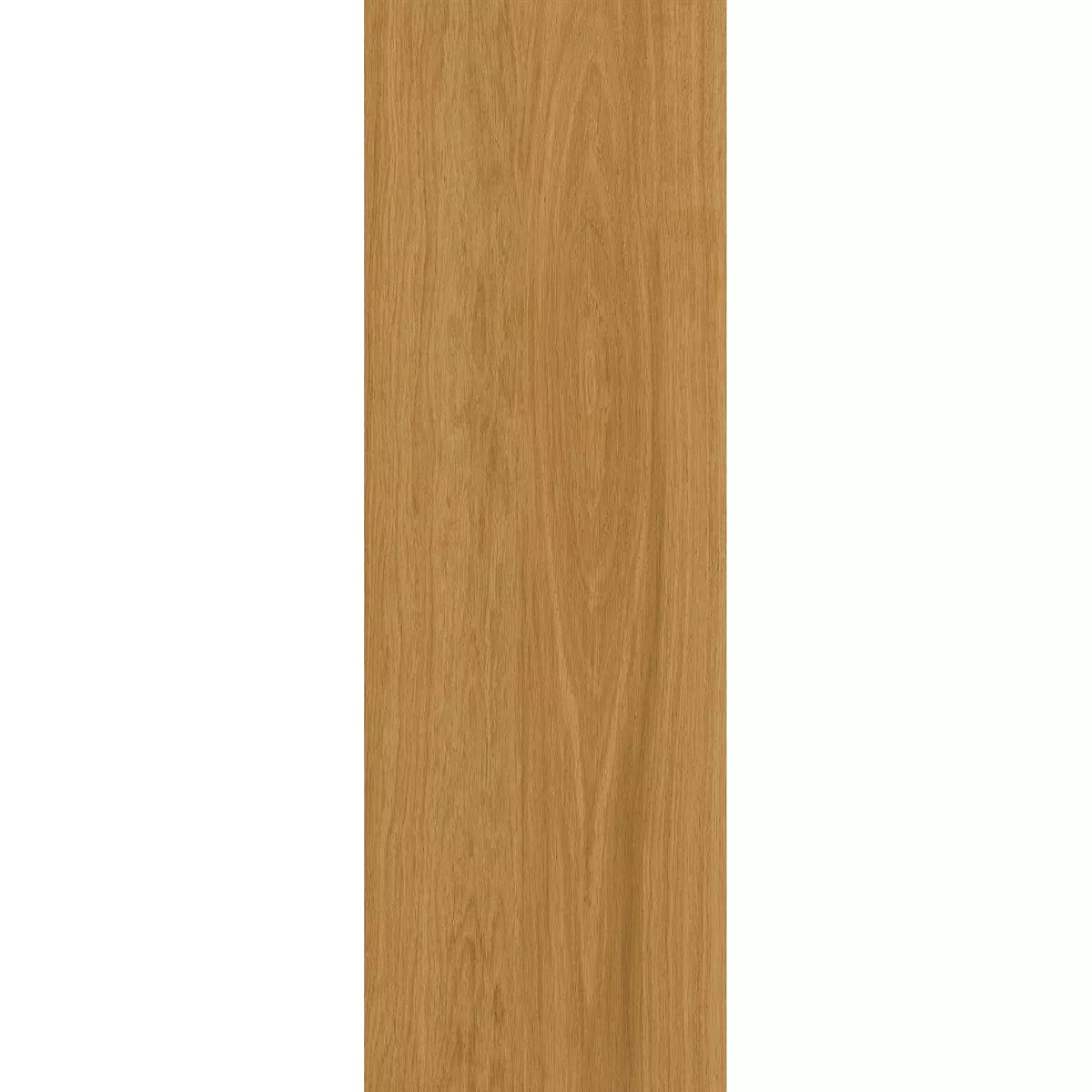 Losas Para Terrazas Aspecto de Madera TerraLine Honey 40x120 cm