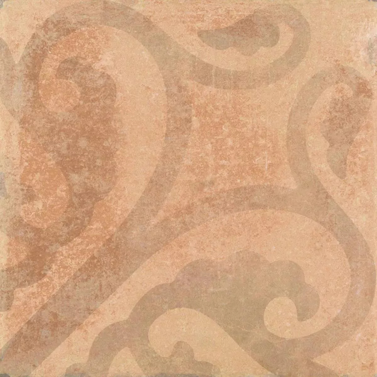 Queens Terracota Marrón Decoración 25x25 cm