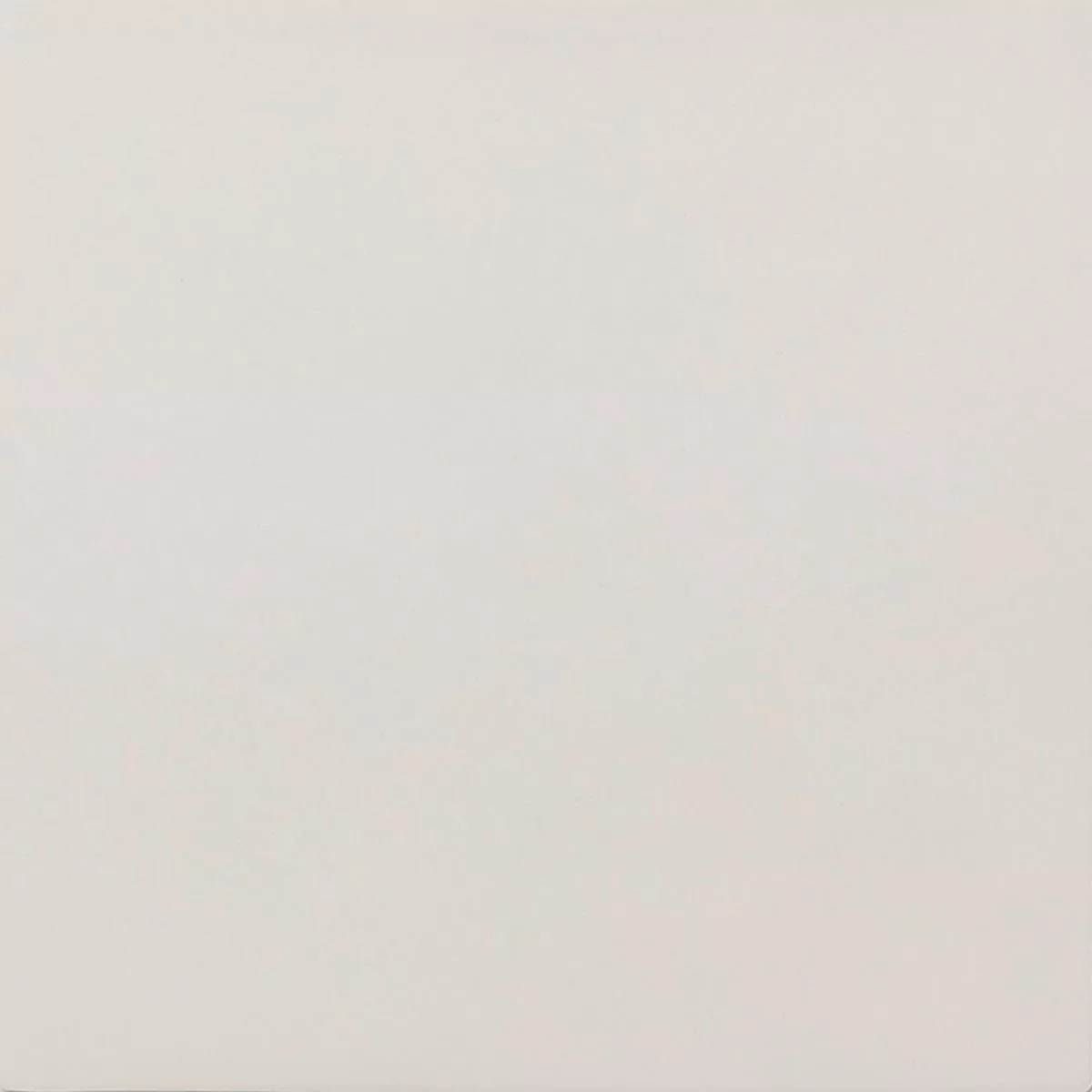 Azulejos De Gres Azulejos Ornamenti Azulejo Básico Blanco Azulejos De Gres Azulejos Ornamenti Azulejo Básico Blanco