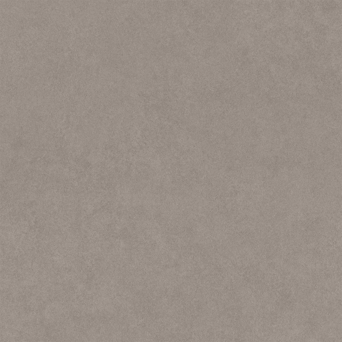 Kolossal Gris Claro 60x60 cm