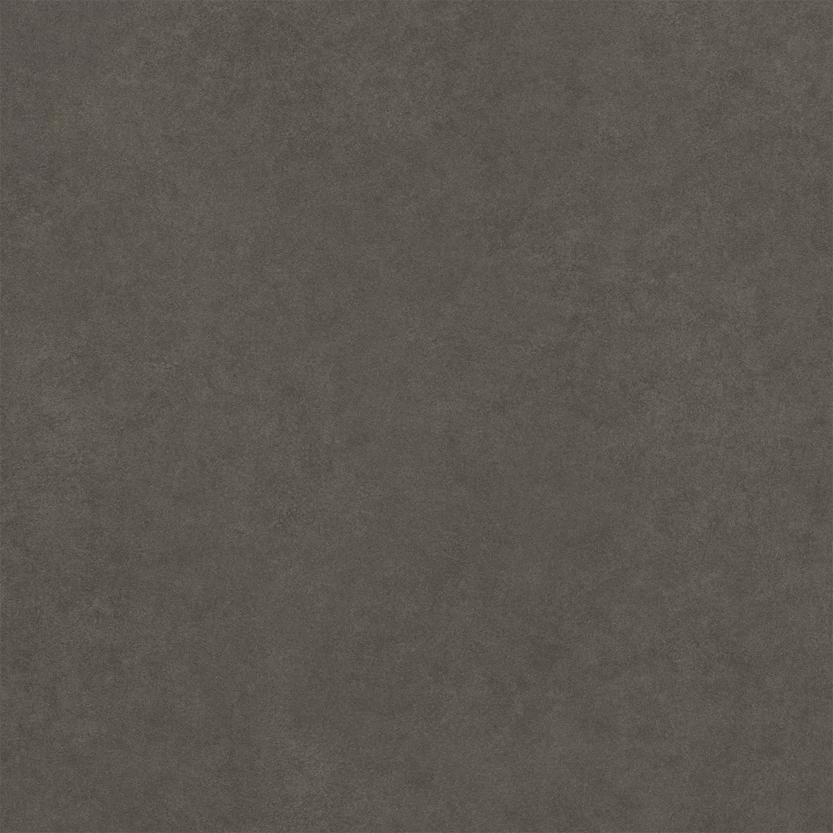 Kolossal Antracita 60x60 cm