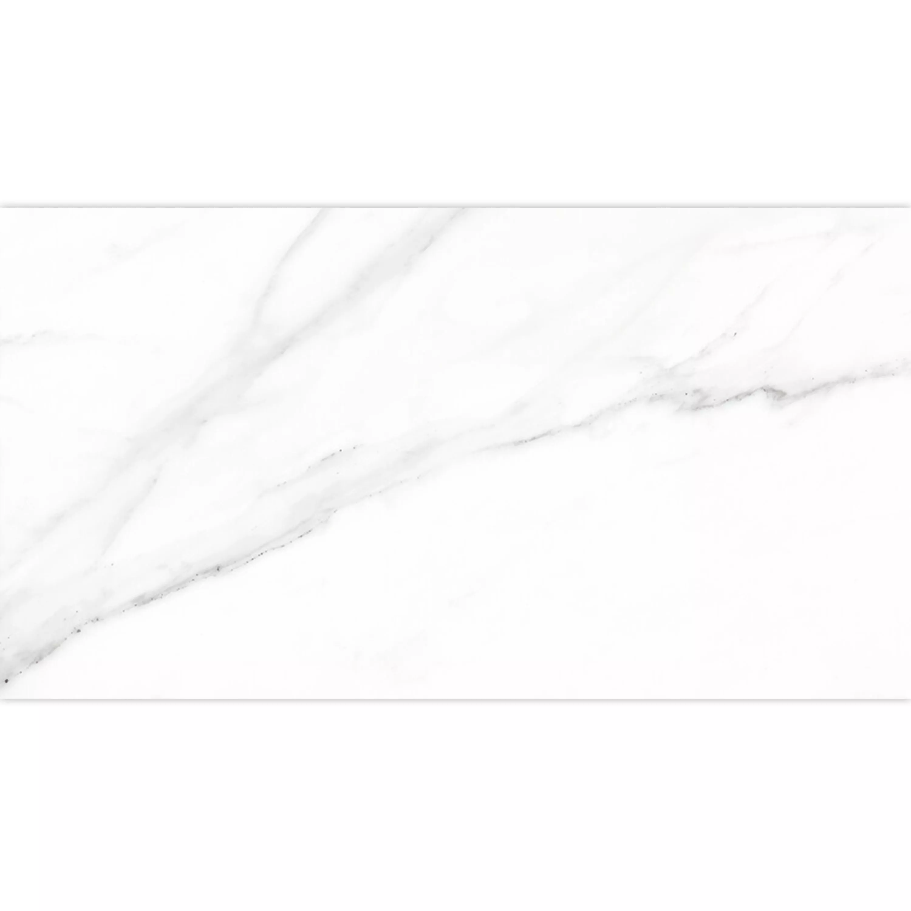 Muestra Pavimentos Arcadia Aspecto De Mármol Mate Blanco 30x60cm