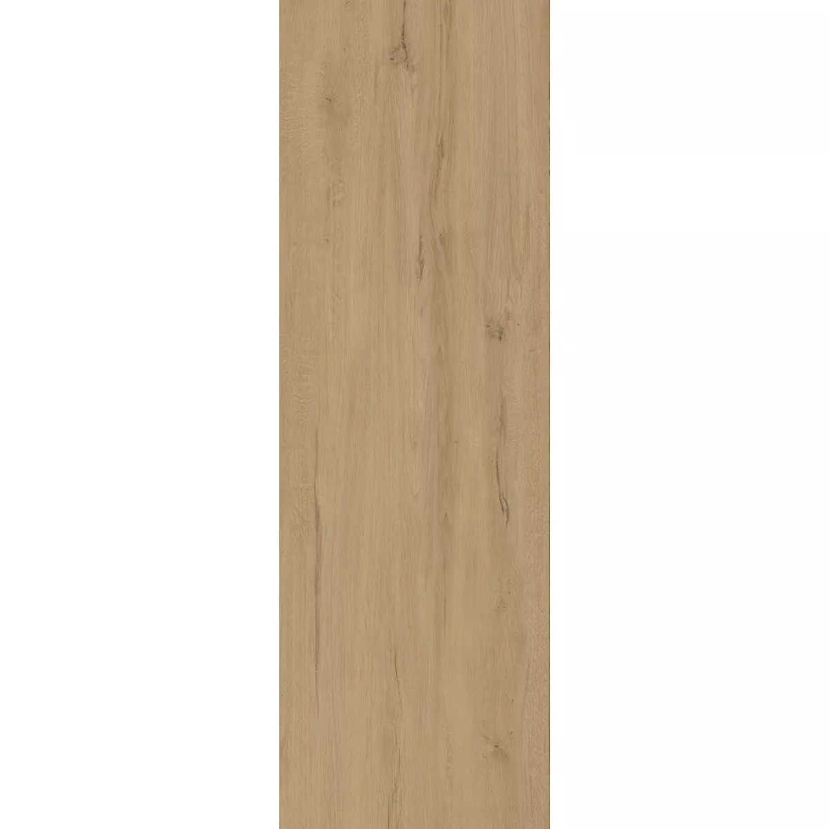 Losas Para Terrazas Aspecto de Madera Riverside Marrón Claro 40x120 cm