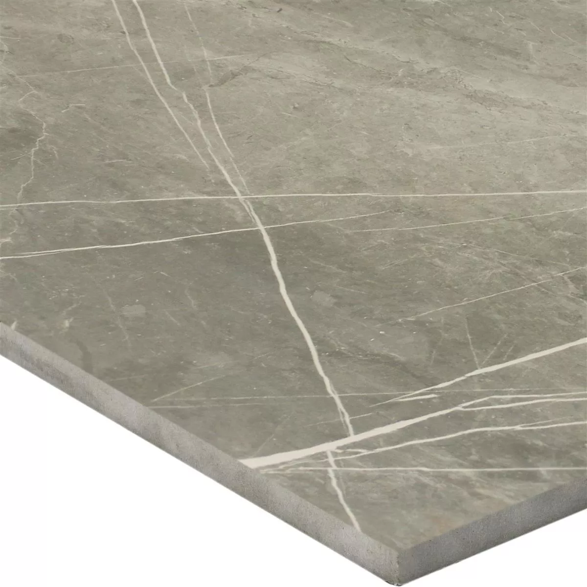 Muestra Pavimentos Astara Aspecto De Piedra Natural Pulido Grey 60x60cm