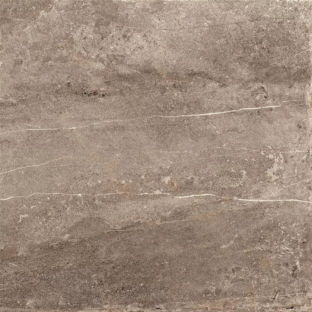 Muestra Pavimentos Detmold Aspecto De Piedra Natural 60x60cm Marrón