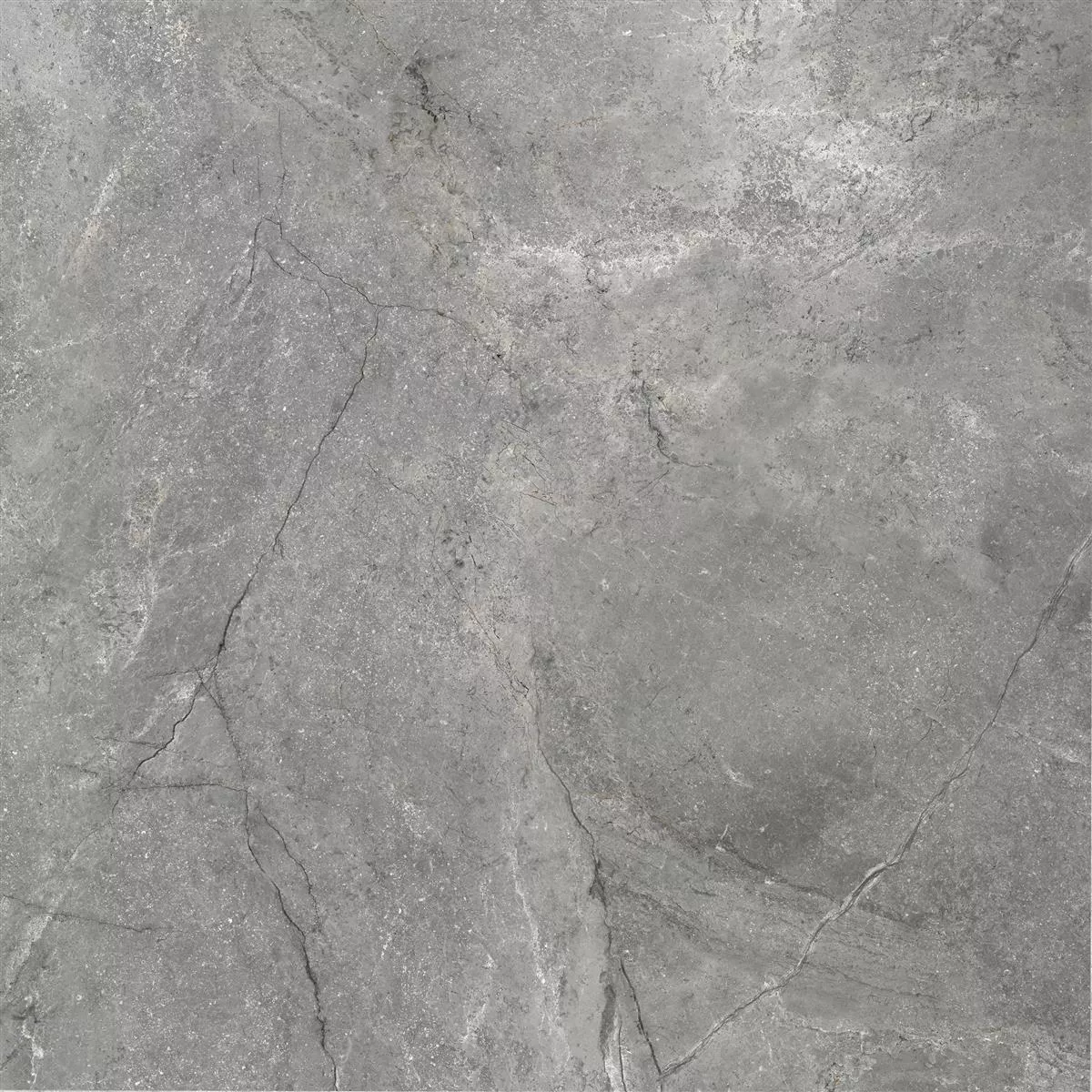 Muestra Pavimentos Pangea Aspecto De Mármol Mate Gris 60x60cm