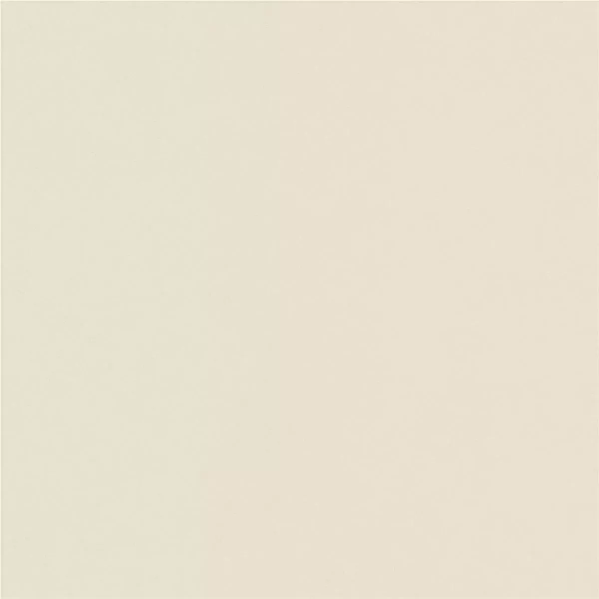 Kolossal Marfil 60x60 cm