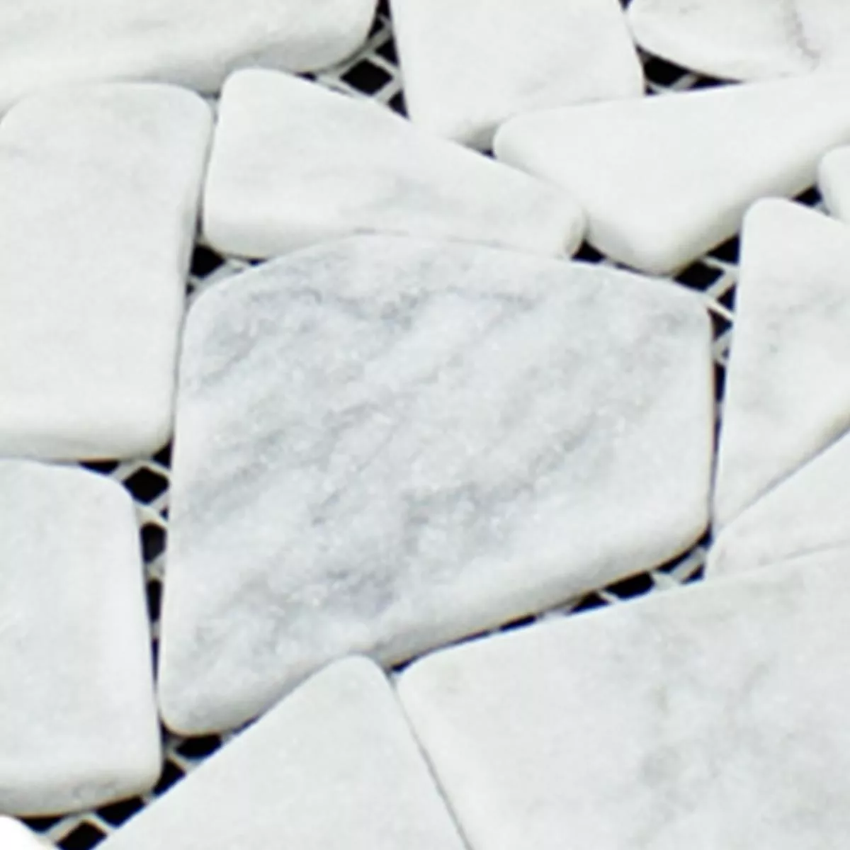 Muestra Cantera De Mármol Azulejos De Mosaico Mareblu Carrara Blanco