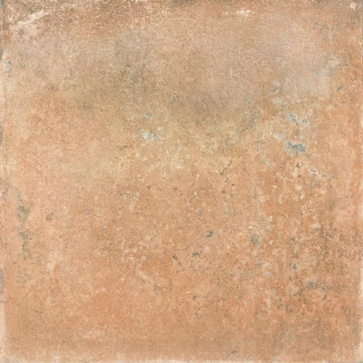 Queens Terracota Marrón 25x25 cm