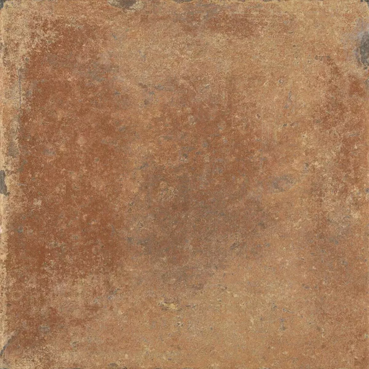 Queens Terracota Marrón Oscuro 25x25 cm