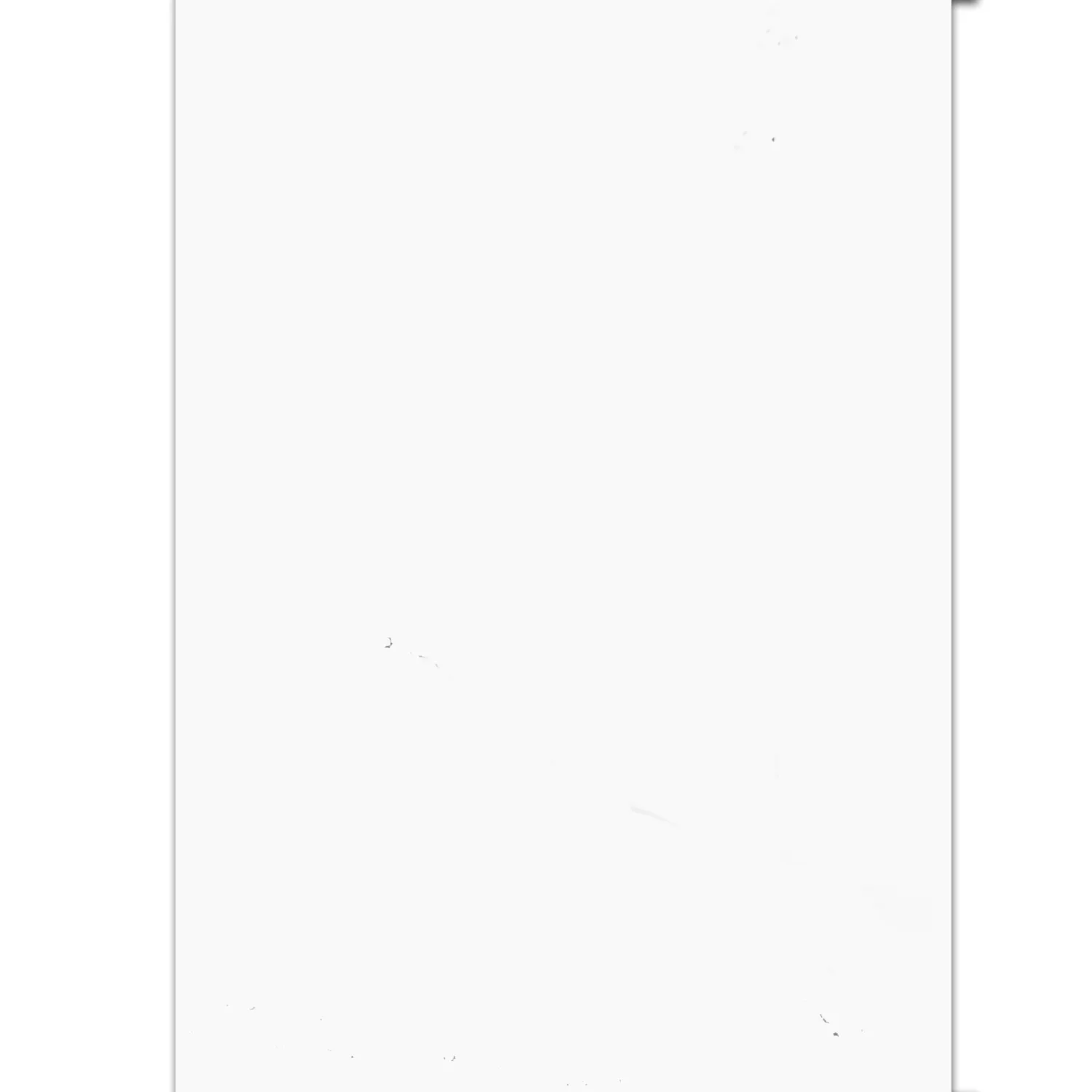 Revestimientos Athlet Blanco Mate 60x120cm